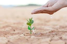 സാംസ്‌കാരിക ഫാസിസത്തോട് രാജിയാകുന്നത് ഗതികേട്